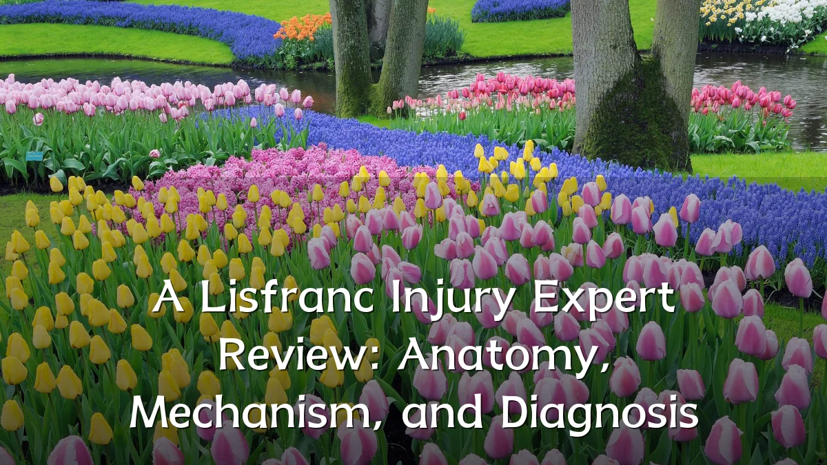 A Lisfranc Injury Expert Review: Anatomy, Mechanism, and Diagnosis