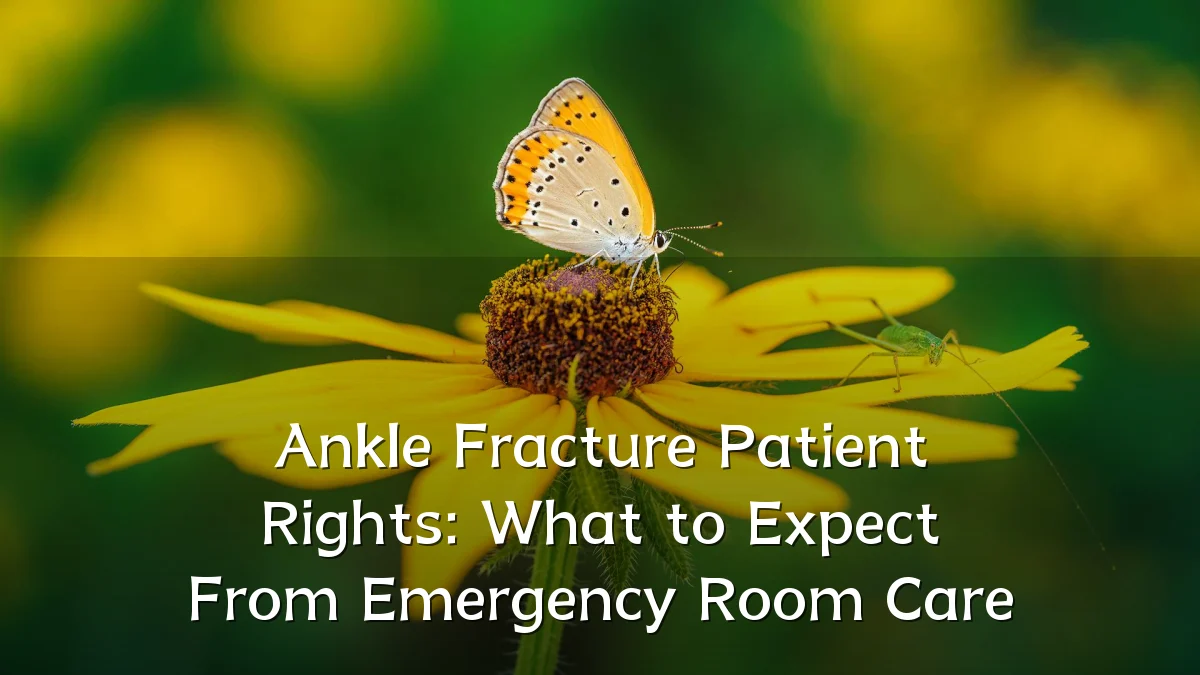 Ankle Fracture Patient Rights: What to Expect From Emergency Room Care