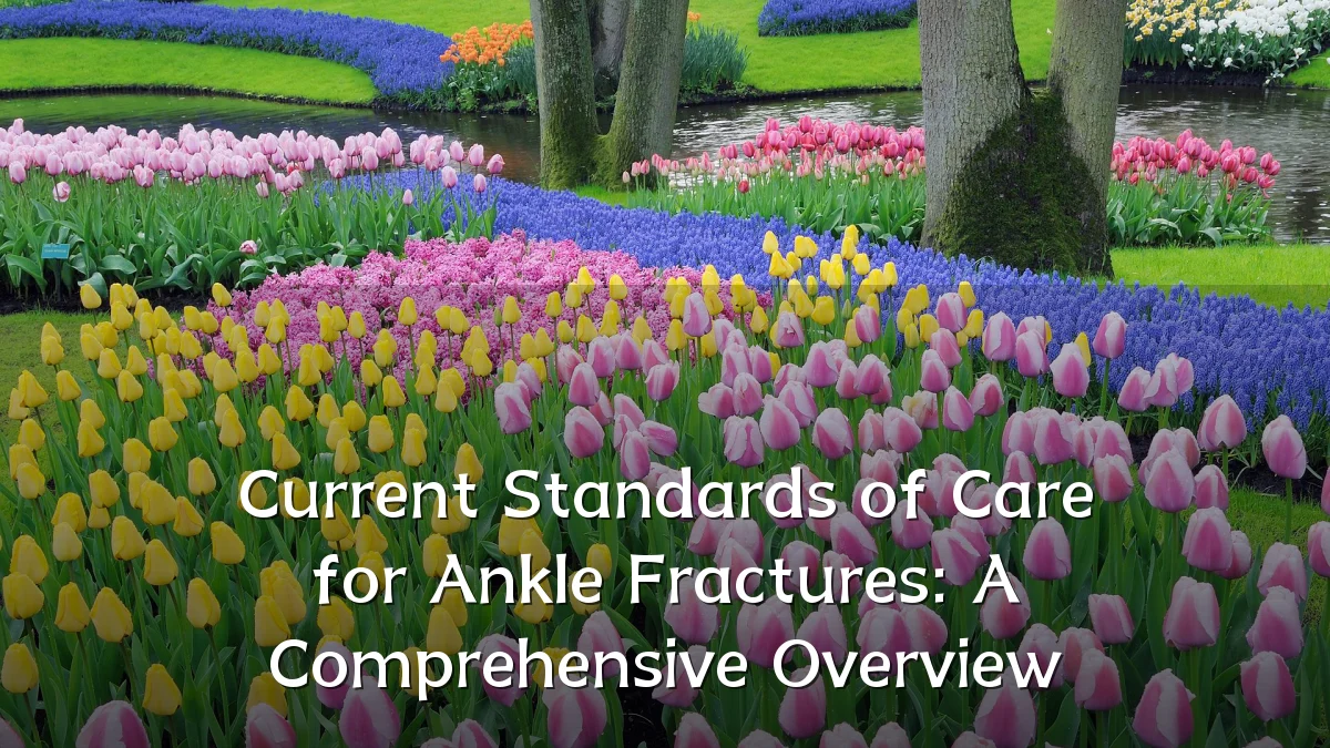 Current Standards of Care for Ankle Fractures: A Comprehensive Overview