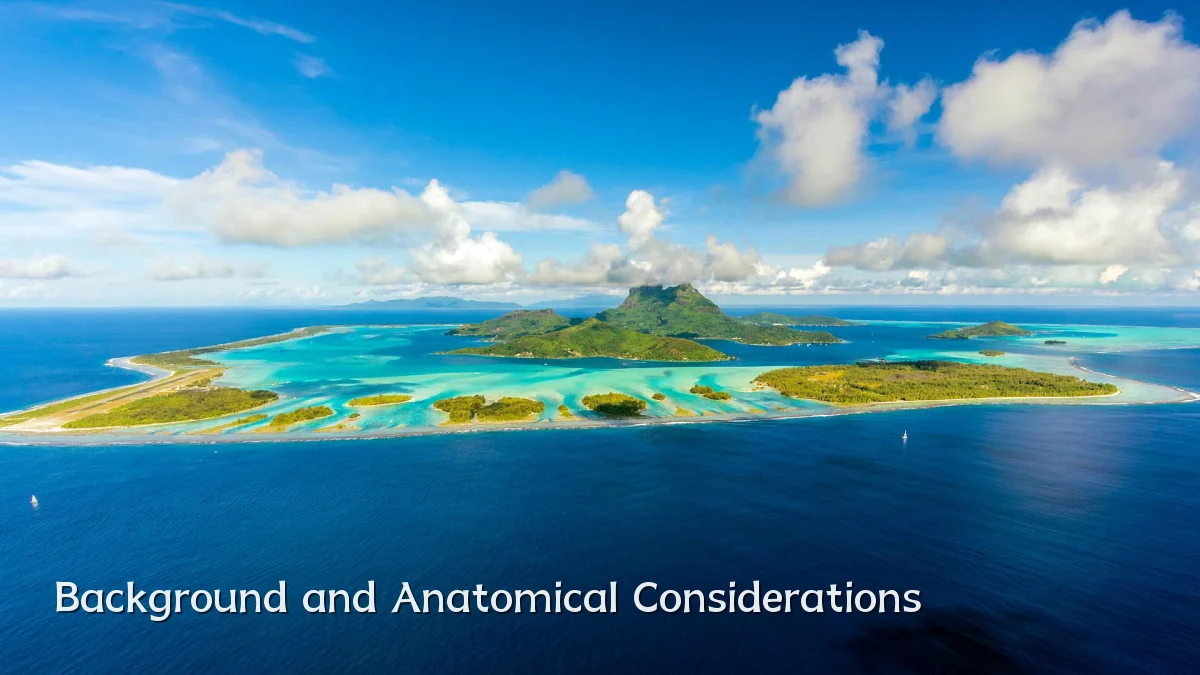 Background and Anatomical Considerations
