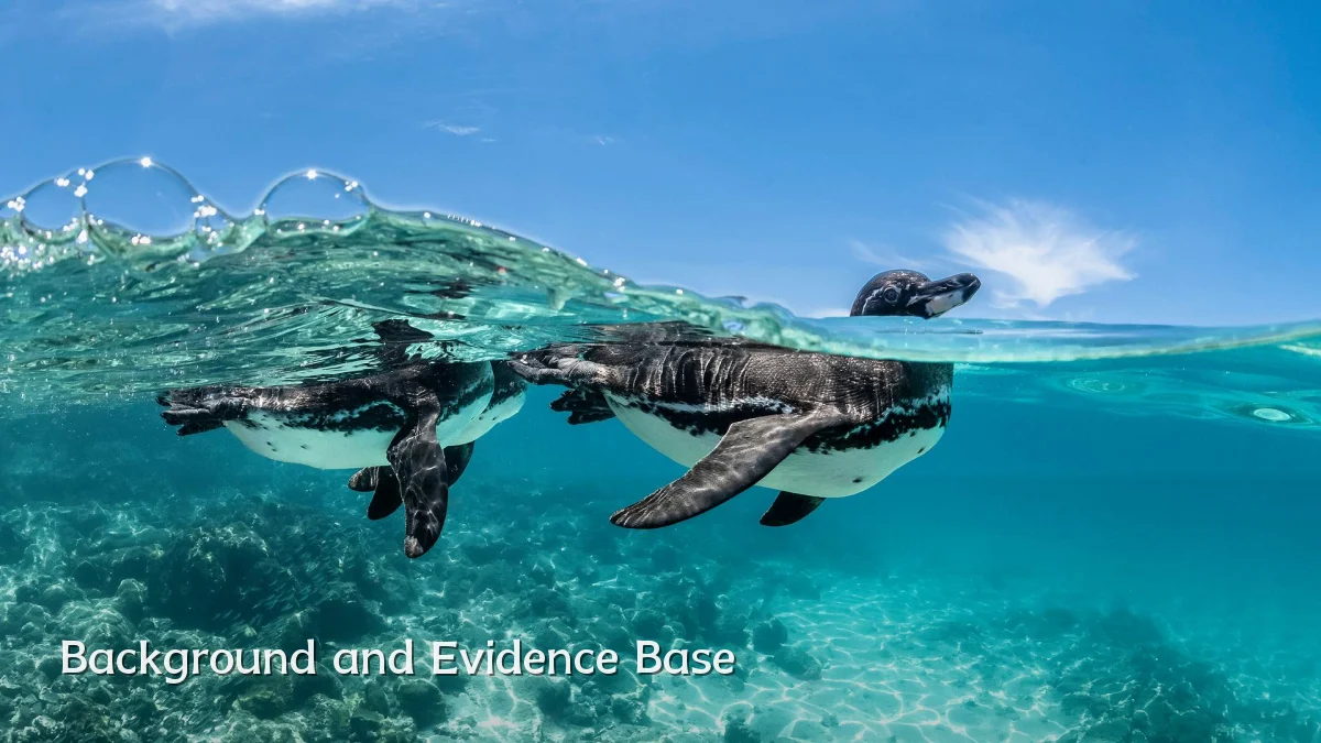 Background and Evidence Base