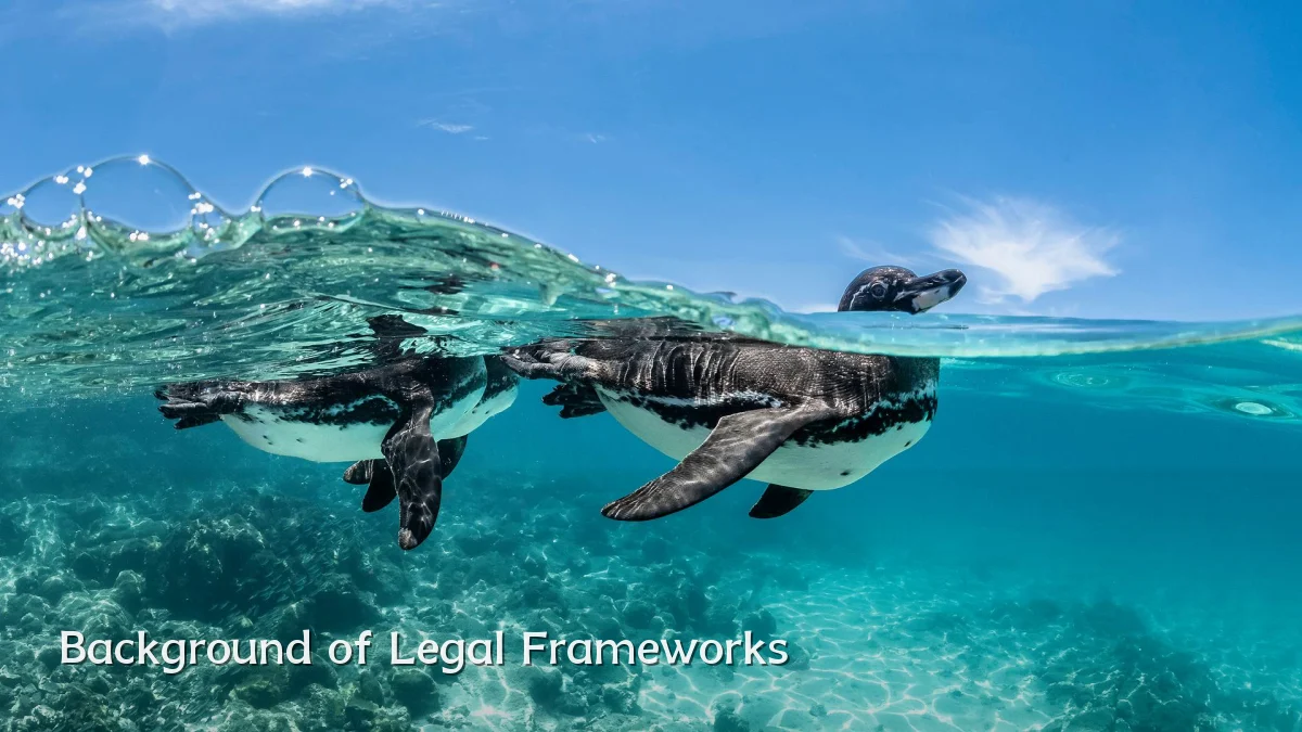 Background of Legal Frameworks