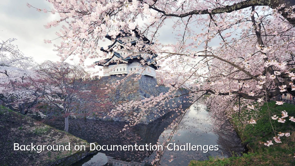 Background on Documentation Challenges
