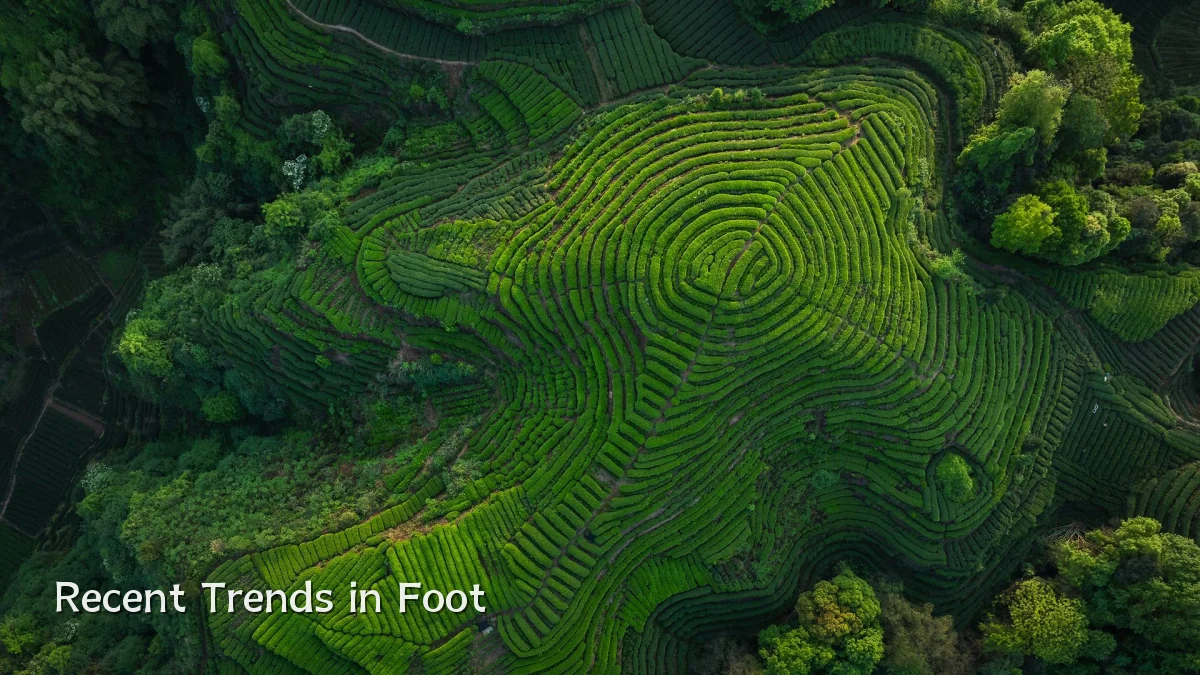 Recent Trends in Foot