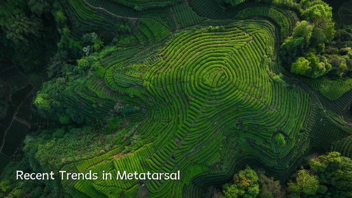Recent Trends in Metatarsal