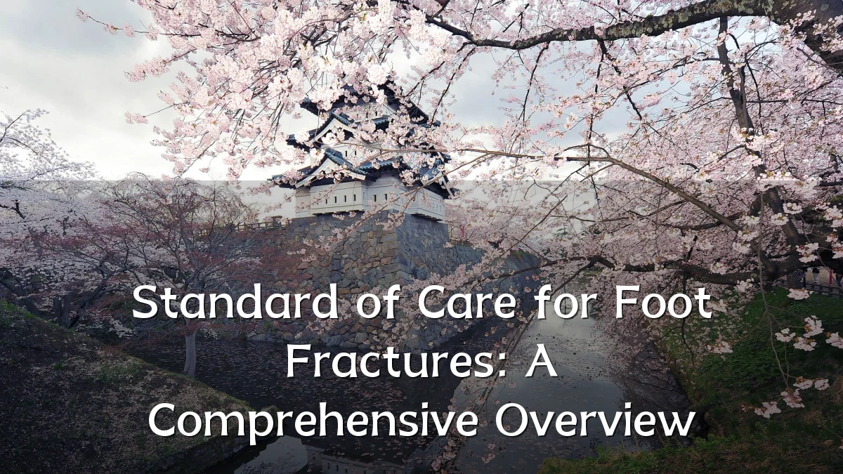 Standard of Care for Foot Fractures: A Comprehensive Overview