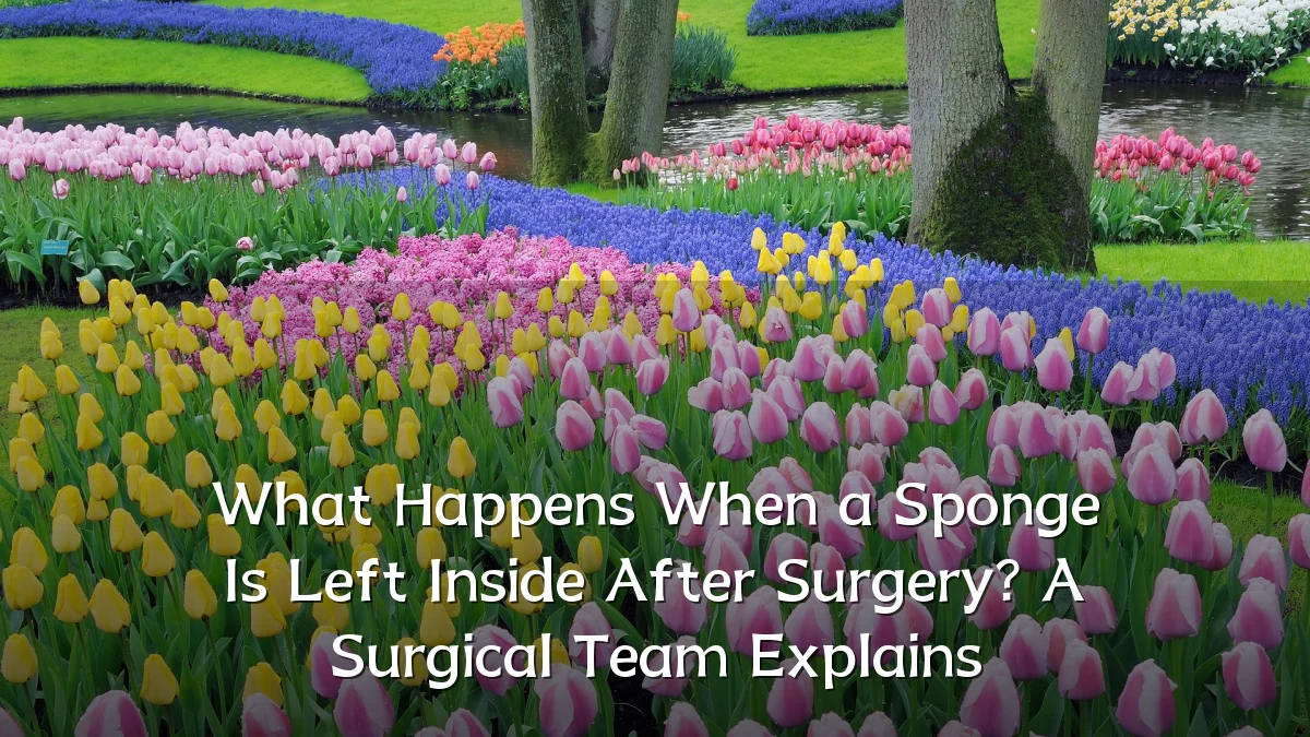 What Happens When a Sponge Is Left Inside After Surgery? A Surgical Team Explains