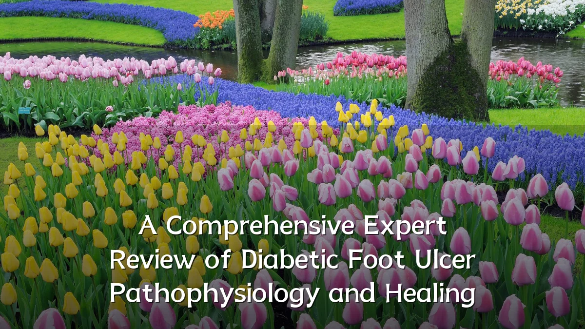 A Comprehensive Expert Review of Diabetic Foot Ulcer Pathophysiology and Healing