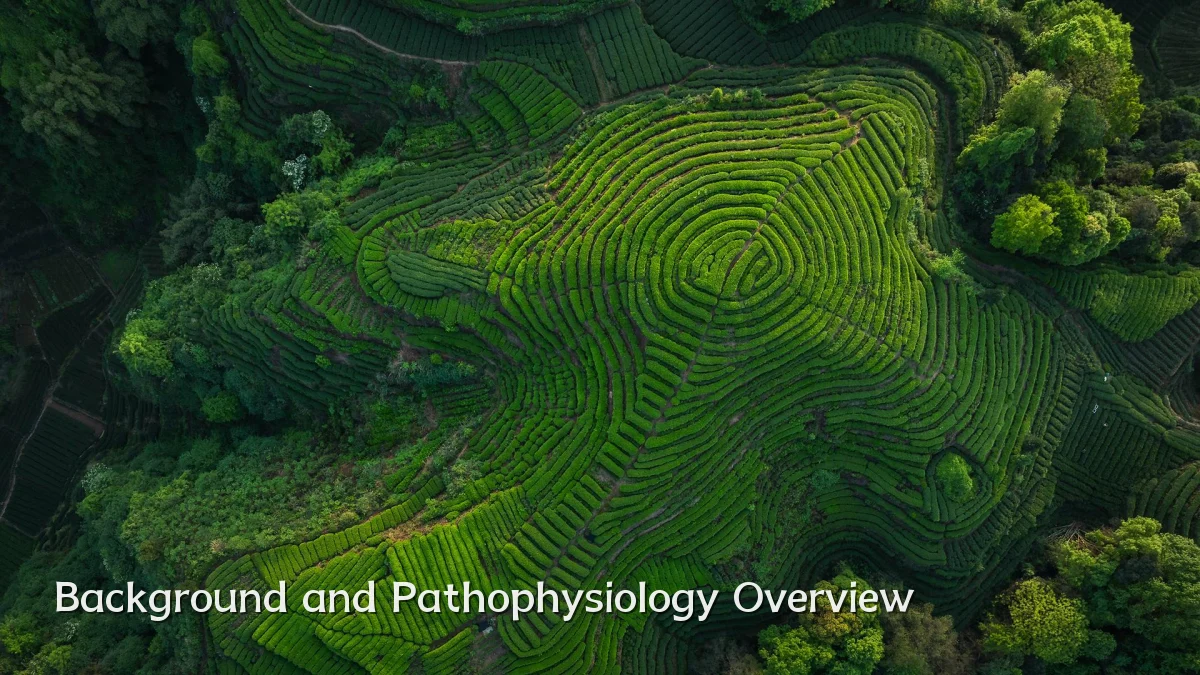Background and Pathophysiology Overview