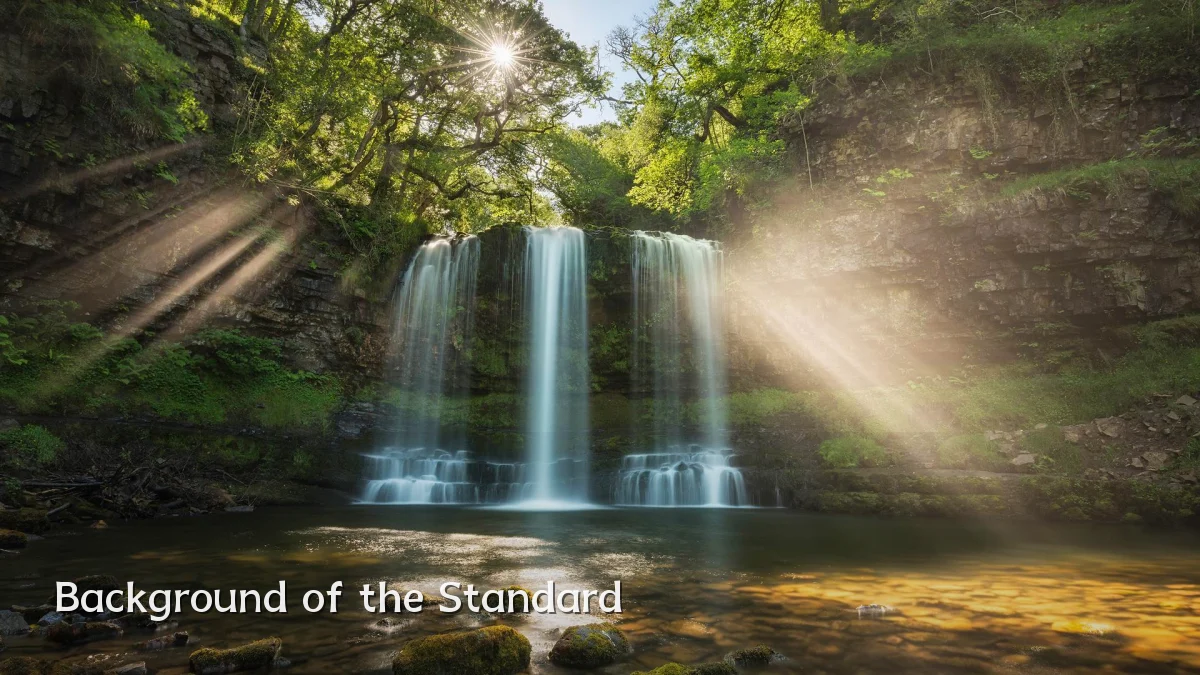 Background of the Standard