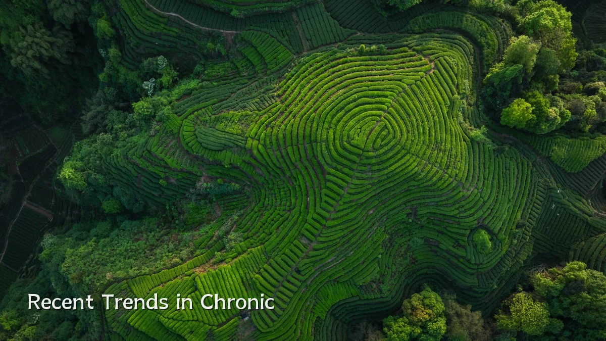 Recent Trends in Chronic