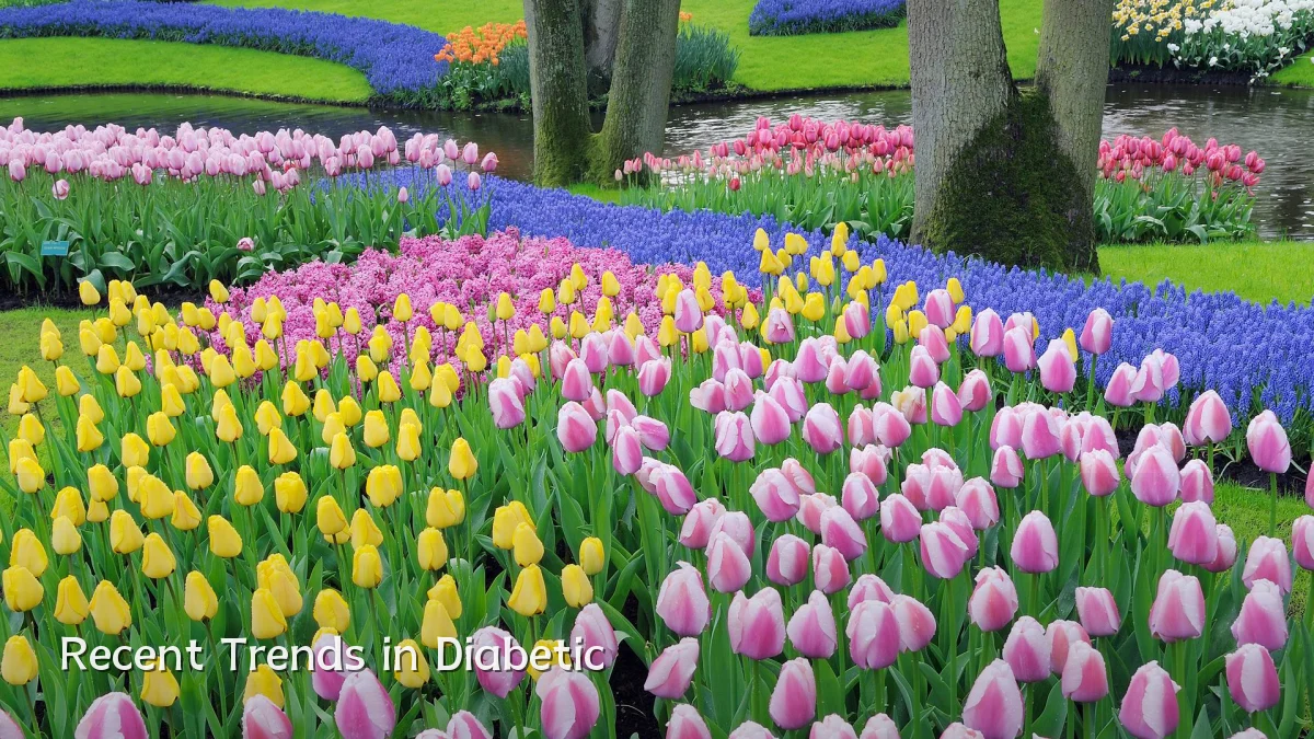 Recent Trends in Diabetic