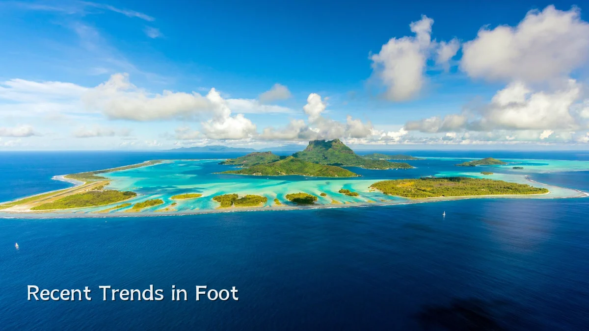 Recent Trends in Foot