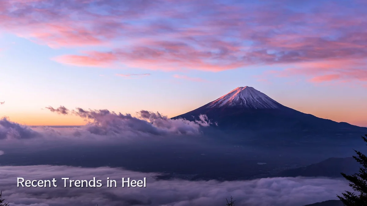 Recent Trends in Heel