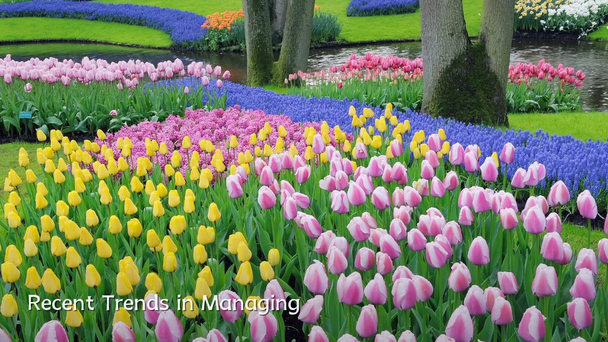 Recent Trends in Managing