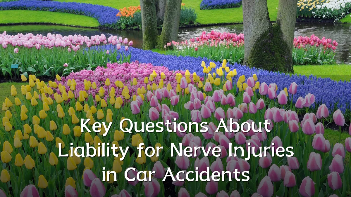 Key Questions About Liability for Nerve Injuries in Car Accidents