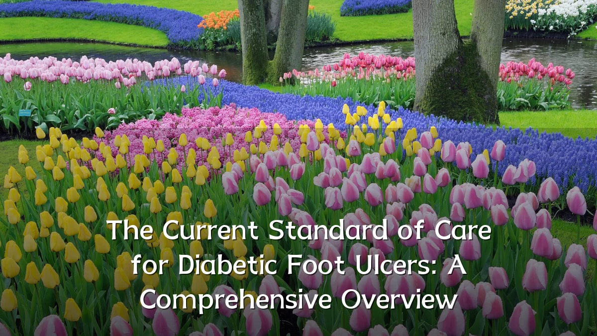 The Current Standard of Care for Diabetic Foot Ulcers: A Comprehensive Overview