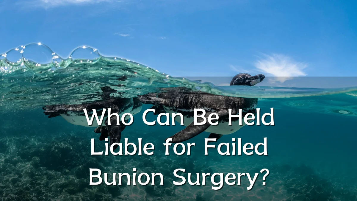 Who Can Be Held Liable for Failed Bunion Surgery?