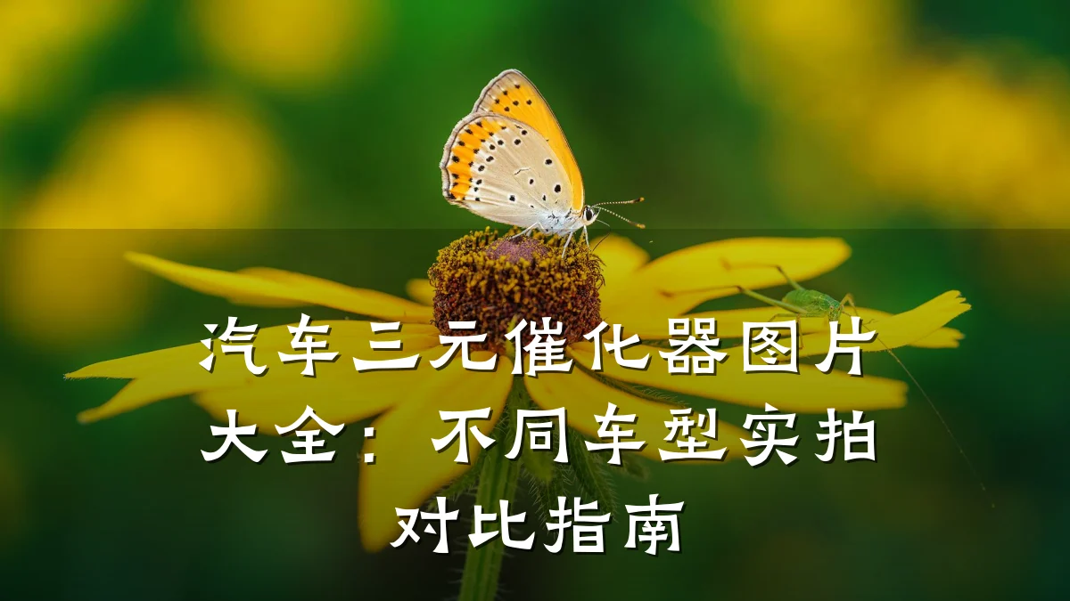 汽车三元催化器图片大全:不同车型实拍对比指南