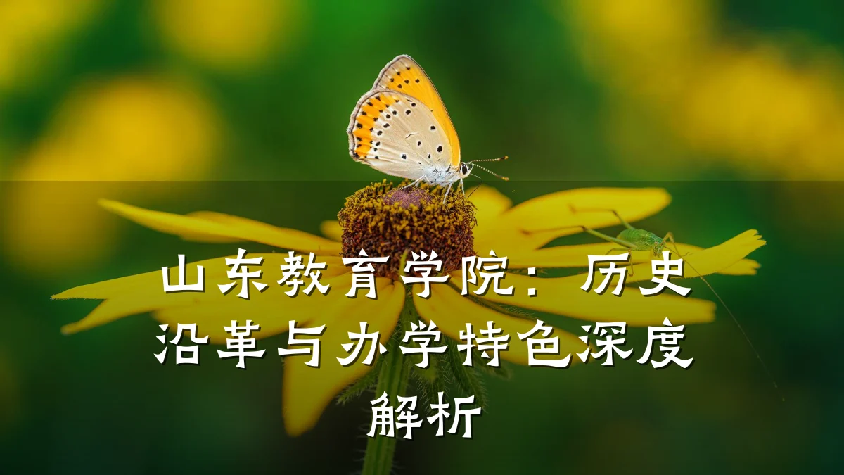 山东教育学院：历史沿革与办学特色深度解析
