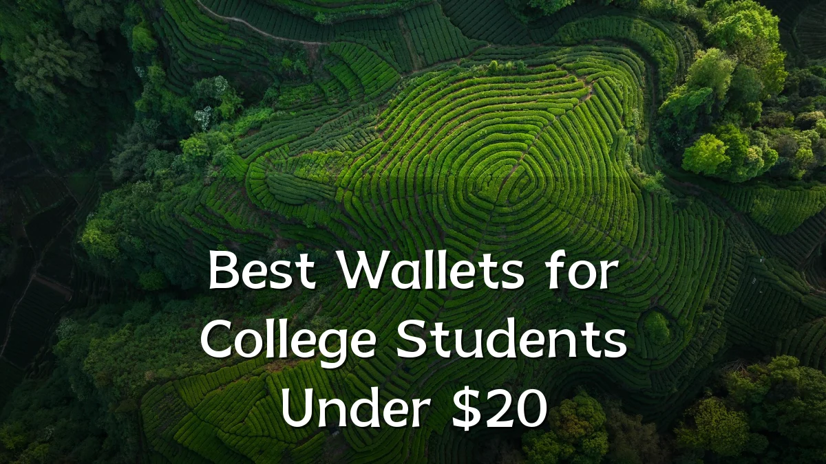 Best Wallets for College Students Under $20