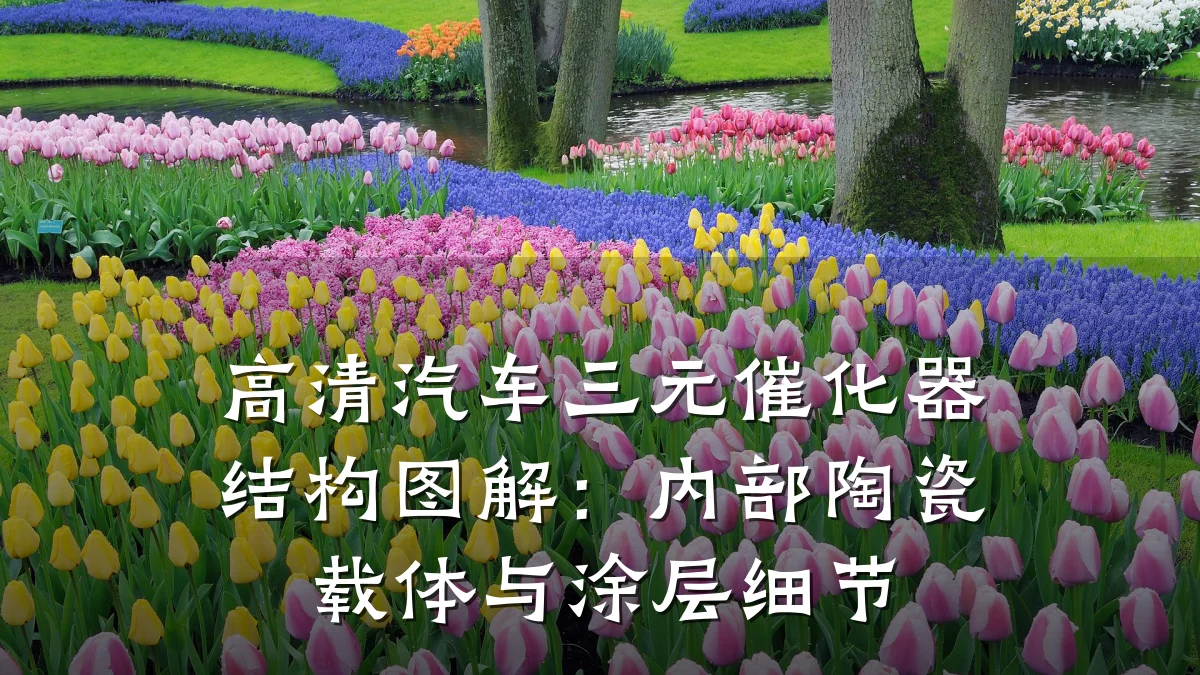高清汽车三元催化器结构图解:内部陶瓷载体与涂层细节