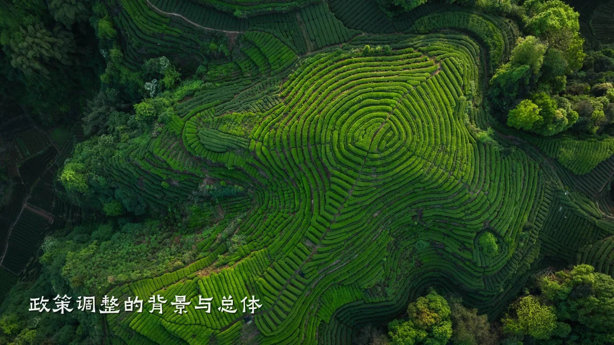 政策调整的背景与总体