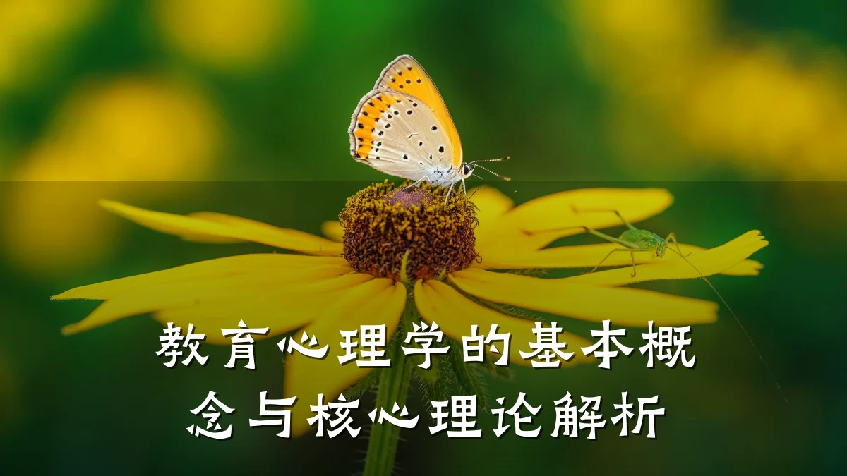 教育心理学的基本概念与核心理论解析