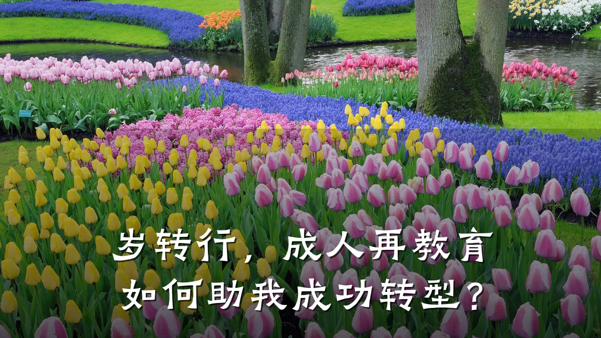 岁转行，成人再教育如何助我成功转型？